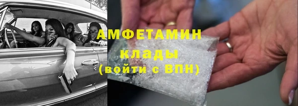 гидра Алексеевка