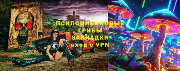 гидра Алексеевка