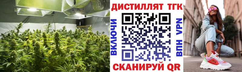 MEGA сайт  дарнет шоп  Ленинск  ТГК THC oil 